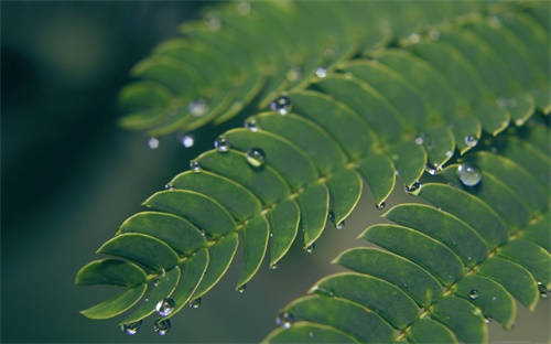 千爱科技有限公司怎么样，千源生物科技有限公司真的是传销吗是否可靠啊